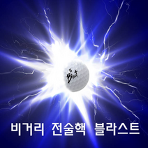 일본에서 입증된 비거리 전술핵 블라스트 고반발 비거리 장타 골프공 반발계수 0.826 평균 26야드 증가 6구 2피스, 고반발 화이트