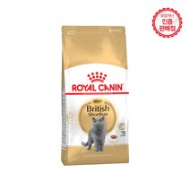 로얄캐닌 브리티시 숏헤어 4kg, 상세페이지 참조, 개, 상세페이지 참조