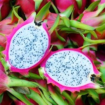특별한선물 당일발송 프리미엄 용과 실속구성 1kg 내외 (2과) 2.5kg 내외 (5과) 5kg 내외 (10과) 이색선물 열대과일 용과, 5과(2.5kg내외)