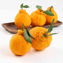 eTV [eTV][귤로올레] 제주 한라봉 1.5kg*1박스, 1