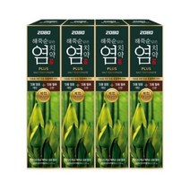 2080 해죽순 담은 염치약 플러스, 100g, 24개