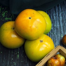 창원 태추 단감 2kg ~ 5kg 창원단감 배단감 대추단감 태추감 배감 생감 햇단감 햇감 초록감 초록단감 못난이단감 창원감 선물용과일, 정품, 3kg 18-21과 소과