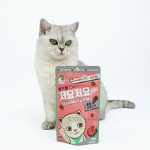 희동이네 고양이 간식 캐츠랑 저요저요 연어 60g 이빨과자 소포장 기호성 좋은 길고양이 영양간식식
