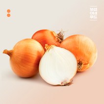 오너클랜 [보섭이네푸드]국내산 양파 3kg(8~10개), 1