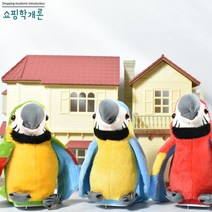 쇼핑학개론 말하는 따라쟁이 앵무새인형 장난감 동물 애착인형, 따라쟁이 앵무새 초록