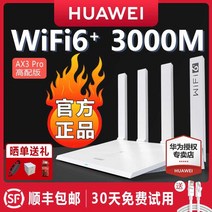 라우터 데이터쉐어링 USB LTE 매장 인터넷 농막용, AX2Pro 표준 구성