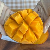 애플망고 선물세트 2kg