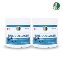 캐나다 블루콜라겐 저분자 피쉬콜라겐 가루 먹는 어류콜라겐 분말 수용성 생선콜라겐 펩타이드 연어 가수분해 파우더 로얄제리 히알루론산 100% 연어추출 어린 콜라겐 고함량 효능