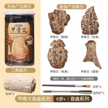 공룡 보석 화석 발굴 키트 광물 캐기 공룡 알 화석 고고학 장난감 보물 블라인드 천연 광석 소녀 소년 재밌는지구과학키트, 12-박물관 고고학 Oracle Bone