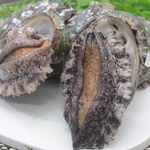 완도친구 [더싱싱포장 손질칼증정] 참전복 ~30미 1kg 캠핑 구이 가정용 1개