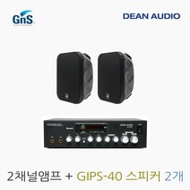 GNS 음향패키지 SR-250D앰프+GIPS-40스피커 블랙 2EA