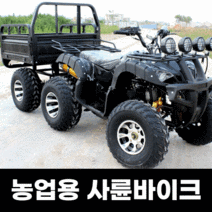 125cc 사륜 오토바이 4륜 산악 바이크 농업용 운반차 사발이 네발, 옵션14