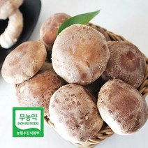 산해리 경북 영양 무농약 버섯 착한 송이 500g 상품