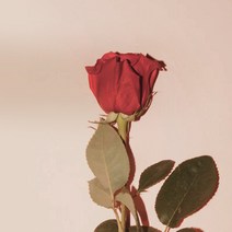 [캔들이케아] 국내산 프래그런스 100ml 오일 97종, 13_No.5