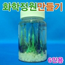 위wjr_향앤미과학 화학 정원 만들기 6인용 삼투압현상실험 관찰♥hspirit, ♥words!!