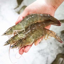국내산 대왕 흰다리새우 500g 생물 대하 냉동새우 손질, [급랭]국산 손질새우 500g