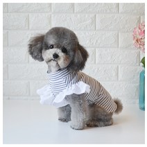 애완용강아지옷 봄 여름 애완동물 펫 테디 소형 개 의류 고양이 이너 강아스프레옷 사계절 2803102146, 흑백 줄무늬 -러플 소매 두발옷