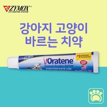 자이목스 오라틴 투스페이스트 메인터넌스 반려동물 젤 70g 바르는 치약, 1개