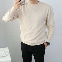 퀸슬러 남성용 제니트 비스코스 포멜 라운드넥 니트 N1658