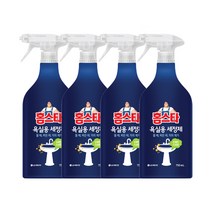 홈스타 욕실용 세정제 750ml, 4개