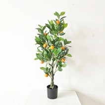 유주나무 낑깡나무 금귤 조화 귤나무 대형 특대형, 90cm(14과)