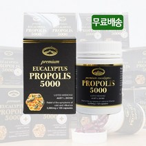 네이쳐스탑 유칼립투스 프로폴리스 5000 120캡슐