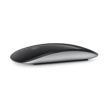 애플 멀티 터치 표면 매직 마우스 (미국정품), Magic Mouse 2, 검정색