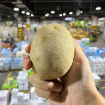 경매직송 감자, 5kg, 알뜰형, 80g-120g(대)