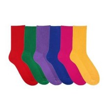 여성 비비드컬러 골지6종 장목양말 컬러 패션 사계절