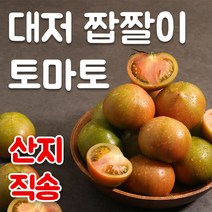 송이토마토 저렴한 상품 추천