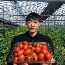 망고 애플 스테비아 토마토 샤인 마토 500g 1kg 1.5 2kg