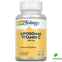 솔라레이 리포좀 비타민C 500mg 100개