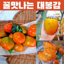 햇 대봉감 꿀맛 전라도 고당도 대봉감 5kg 10kg 믿고 먹고 쟁여놓는 대봉감 산지직송, 대봉감 홍시 5kg 10-15과, 1개