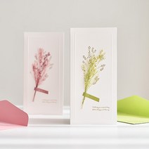 고급 돈봉투 감사합니다 드라이플라워 카드 미니 프리저브드 생일 축하카드 예쁜 돈봉투, 02_감사 카드 핑크