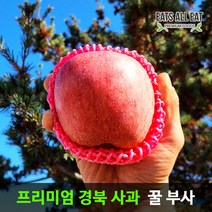 이츠올릿 경북 청송 부사 사과 10kg 정품 대과 24-26과 아침 껍질째 먹는 맛있는 햇 꿀사과 못난이