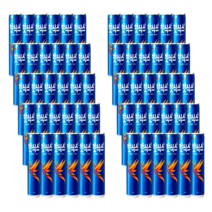핫식스 250ml 30캔 * 2박스