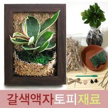 큰나무상사 갈색액자 토피어리재료 다육 액자 프레임