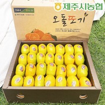 추석선물세트 제주시농협 하우스귤 선물박스+외피박스 3kg 5kg 로얄과, 제주시농협 하우스감귤 3kg 로얄과 선물박스+외박스