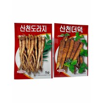 산천더덕 씨앗 산천도라지 씨앗, 더덕
