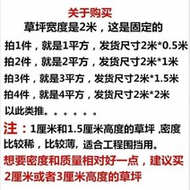 모조잔디 카페트 인조 플라스틱 야외 마당 녹색식물 장식벽 프로그램 둘레 그린색 바닥매트