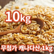카무드국산당뇨쌀국산카무드 저렴한 순위 보기