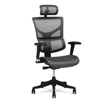 X-Chair X1 고급 작업 의자 헤드레스트가 있는 블랙 플렉스 메시 - 인체 공학적 사무실 좌석/다이나믹 가변 요추 지지대/높은 조절 가능/편안한 리클라이닝/사무실 또는 홈, With Headrest, Grey