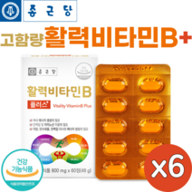 종근당 활력 비타민B 플러스 60정 고함량 수용성 비타민비 컴플렉스 온가족 패밀리 영양제 vitamin b, 60정 x 6 (12개월)