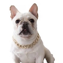 반려견 강아지 골드 체인 목걸이 금목걸이, 로즈골드