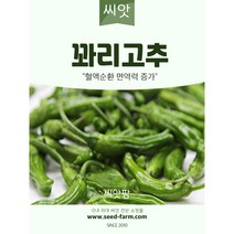 꽈리고추 씨앗(50립)