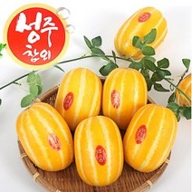 성주참외 참외, 1박스, 10kg못난이
