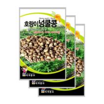 호랑이 넝쿨콩 30g 울타리콩 3봉, 6
