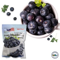 웰프레시 냉동 블루베리 1kg 1봉 미국산