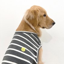 강아지흰셔츠 판매량 많은 상위 200개 제품 추천
