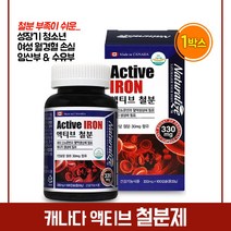 액티브 철분 영양제 성장기 어린이 청소년 수험생 여성 임신 준비 초기 임산부 출산후 산모 수유부 철분제 보충제 건강 기능식품, 330mg, 1박스